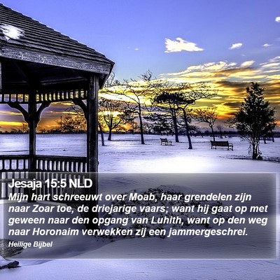 Jesaja 15:5 NLD Bible Verse Image