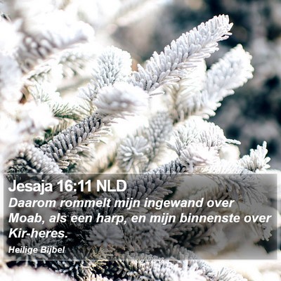 Jesaja 16:11 NLD Bible Verse Image