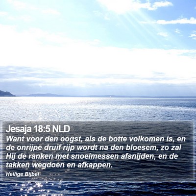 Jesaja 18:5 NLD Bible Verse Image