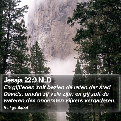 Jesaja 22:9 NLD Bible Verse Image