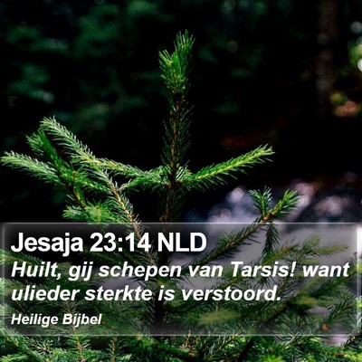 Jesaja 23:14 NLD Bible Verse Image