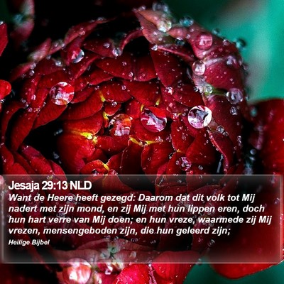 Jesaja 29:13 NLD Bible Verse Image