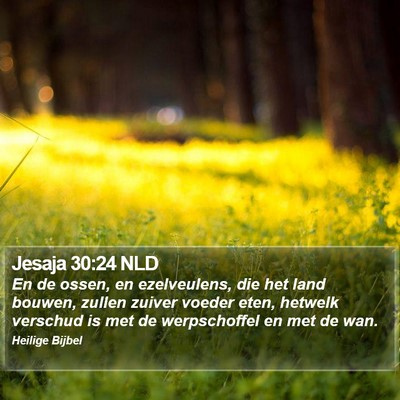 Jesaja 30:24 NLD Bible Verse Image
