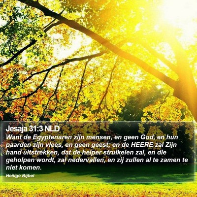 Jesaja 31:3 NLD Bible Verse Image