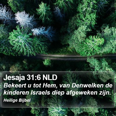 Jesaja 31:6 NLD Bible Verse Image