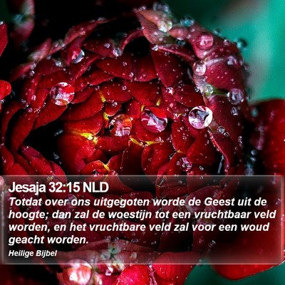 Jesaja 32:15 NLD Bible Verse Image