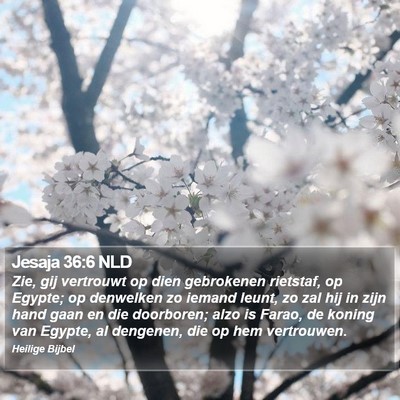 Jesaja 36:6 NLD Bible Verse Image
