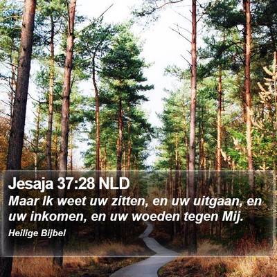 Jesaja 37:28 NLD Bible Verse Image
