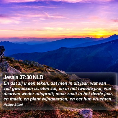 Jesaja 37:30 NLD Bible Verse Image