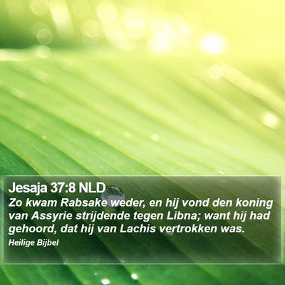 Jesaja 37:8 NLD Bible Verse Image