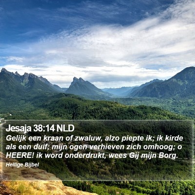 Jesaja 38:14 NLD Bible Verse Image