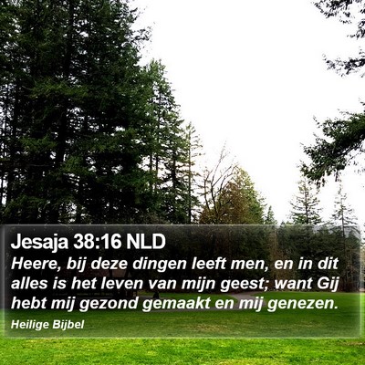 Jesaja 38:16 NLD Bible Verse Image