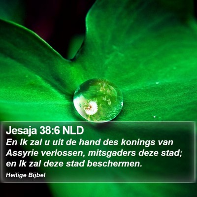 Jesaja 38:6 NLD Bible Verse Image