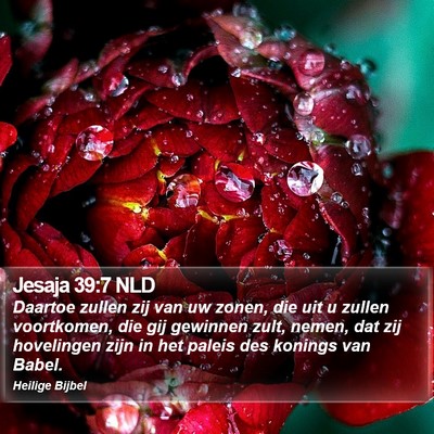 Jesaja 39:7 NLD Bible Verse Image