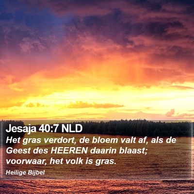 Jesaja 40:7 NLD Bible Verse Image