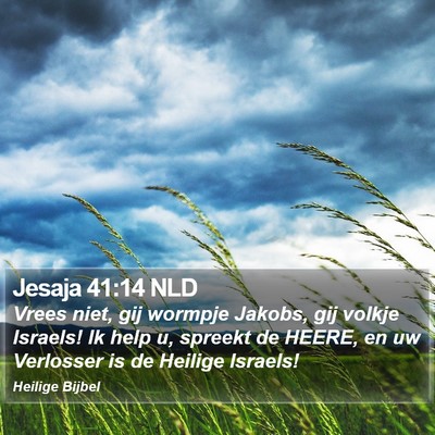 Jesaja 41:14 NLD Bible Verse Image
