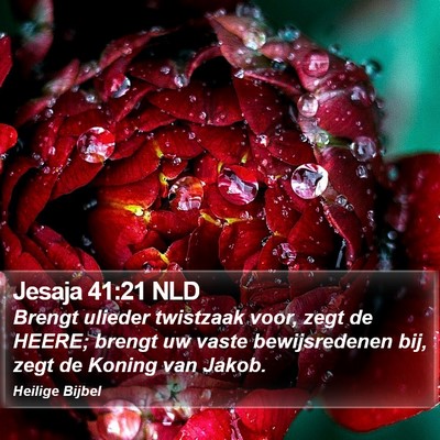 Jesaja 41:21 NLD Bible Verse Image