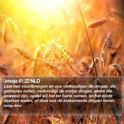 Jesaja 41:22 NLD Bible Verse Image