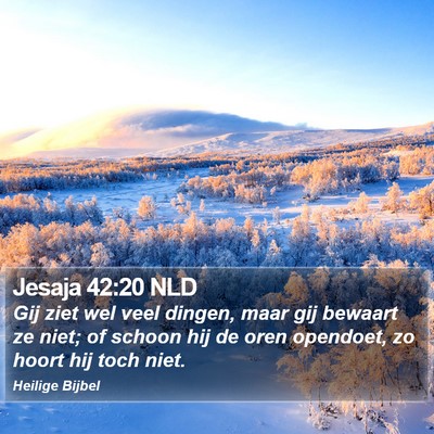 Jesaja 42:20 NLD Bible Verse Image