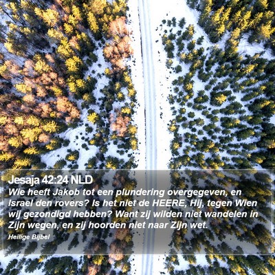 Jesaja 42:24 NLD Bible Verse Image