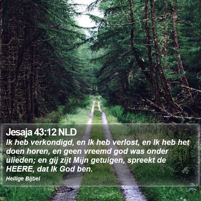Jesaja 43:12 NLD Bible Verse Image
