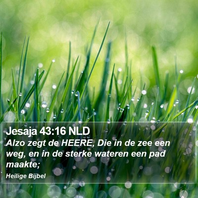 Jesaja 43:16 NLD Bible Verse Image