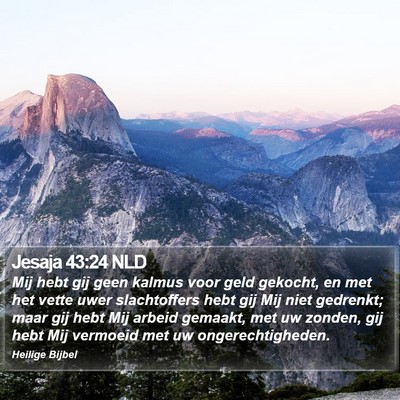 Jesaja 43:24 NLD Bible Verse Image
