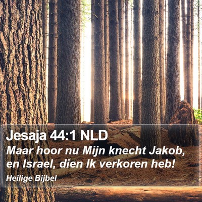 Jesaja 44:1 NLD Bible Verse Image