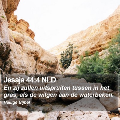 Jesaja 44:4 NLD Bible Verse Image