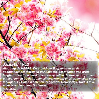 Jesaja 45:14 NLD Bible Verse Image