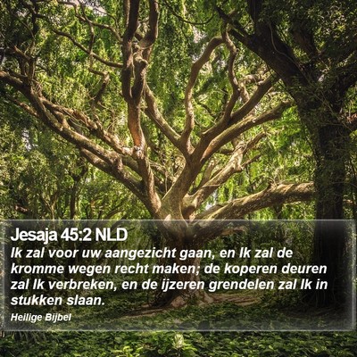 Jesaja 45:2 NLD Bible Verse Image