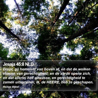 Jesaja 45:8 NLD Bible Verse Image