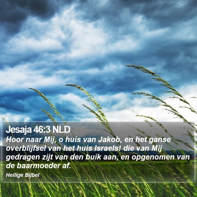Jesaja 46:3 NLD Bible Verse Image