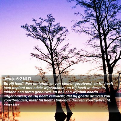 Jesaja 5:2 NLD Bible Verse Image