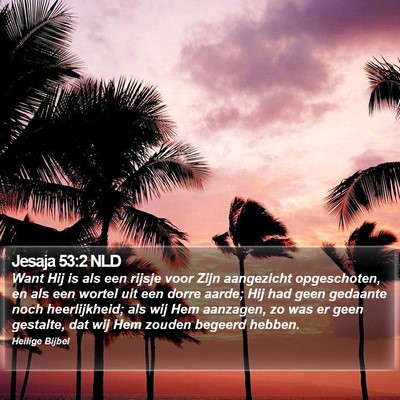 Jesaja 53:2 NLD Bible Verse Image