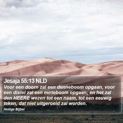 Jesaja 55:13 NLD Bible Verse Image