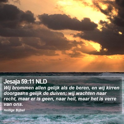 Jesaja 59:11 NLD Bible Verse Image
