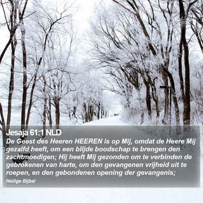 Jesaja 61:1 NLD Bible Verse Image