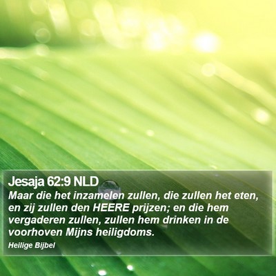 Jesaja 62:9 NLD Bible Verse Image