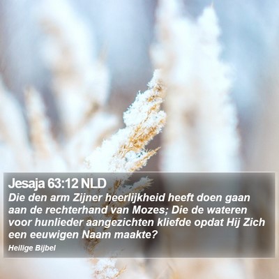 Jesaja 63:12 NLD Bible Verse Image