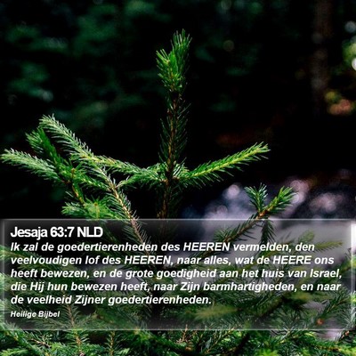 Jesaja 63:7 NLD Bible Verse Image