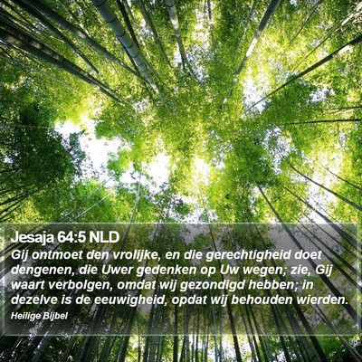 Jesaja 64:5 NLD Bible Verse Image