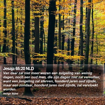 Jesaja 65:20 NLD Bible Verse Image