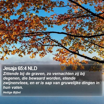 Jesaja 65:4 NLD Bible Verse Image