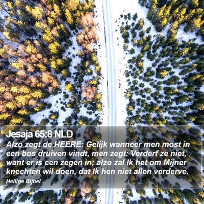 Jesaja 65:8 NLD Bible Verse Image