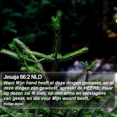 Jesaja 66:2 NLD Bible Verse Image
