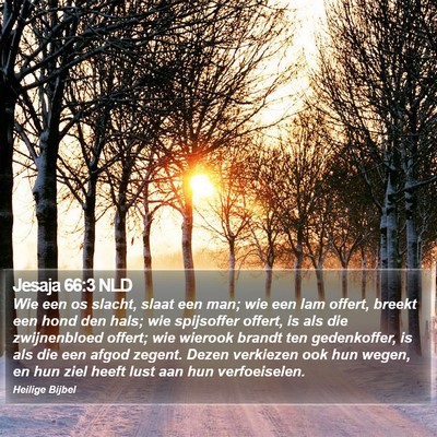Jesaja 66:3 NLD Bible Verse Image