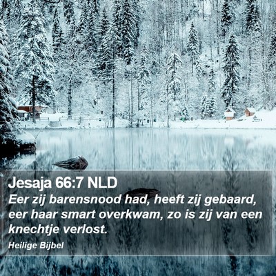 Jesaja 66:7 NLD Bible Verse Image