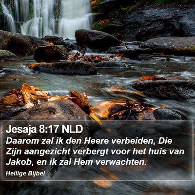 Jesaja 8:17 NLD Bible Verse Image