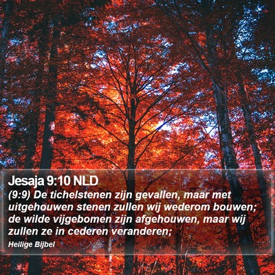 Jesaja 9:10 NLD Bible Verse Image
